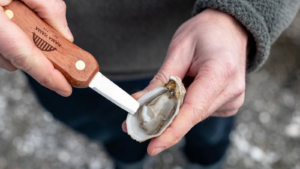 Best Gifts for Oyster Lovers of 2026