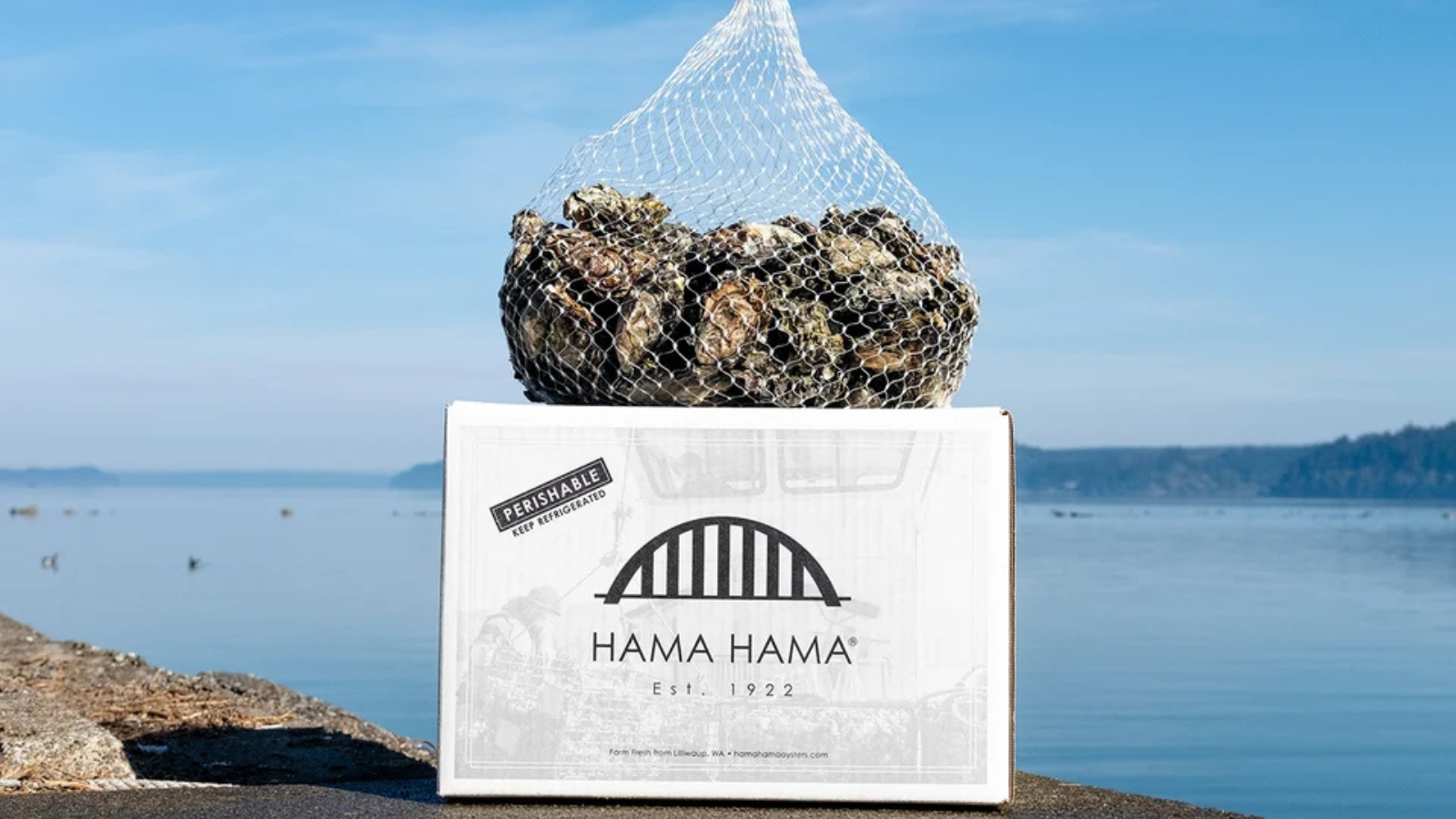 Hama Hama Oysters Reviews (2026)